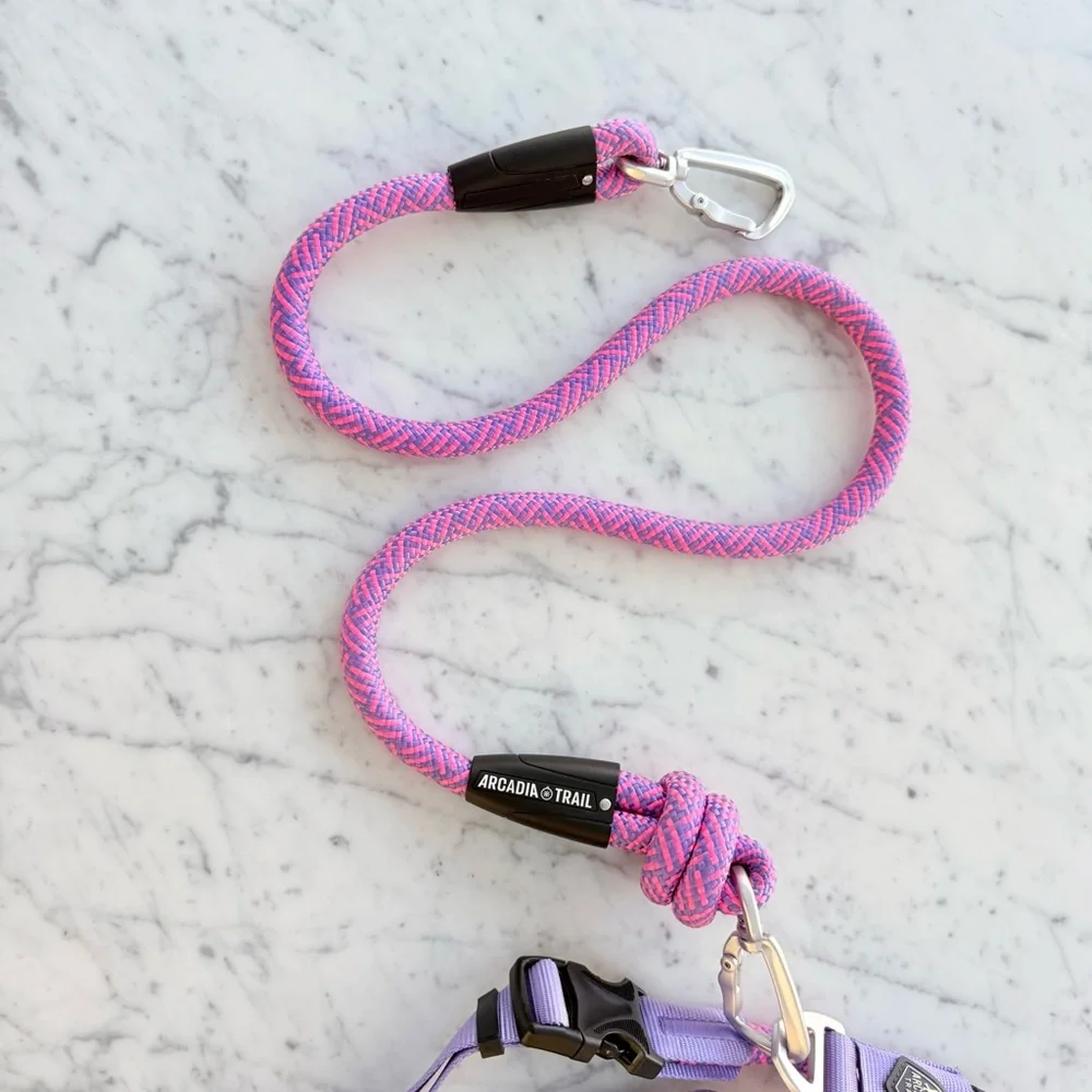 Arcadia Trail rope dog harness and leash in pink and purple
